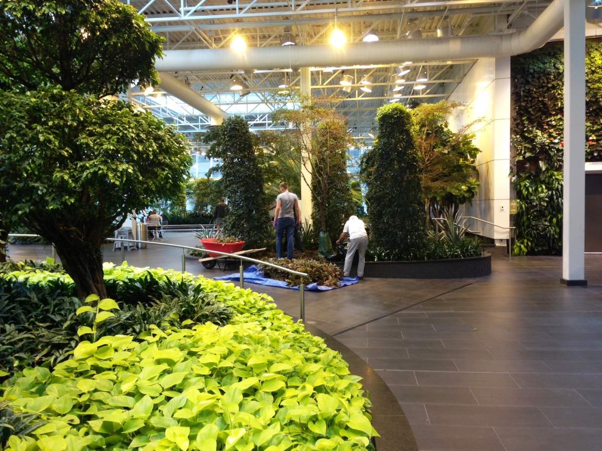 Crews repair planters in Devonian Gardens.