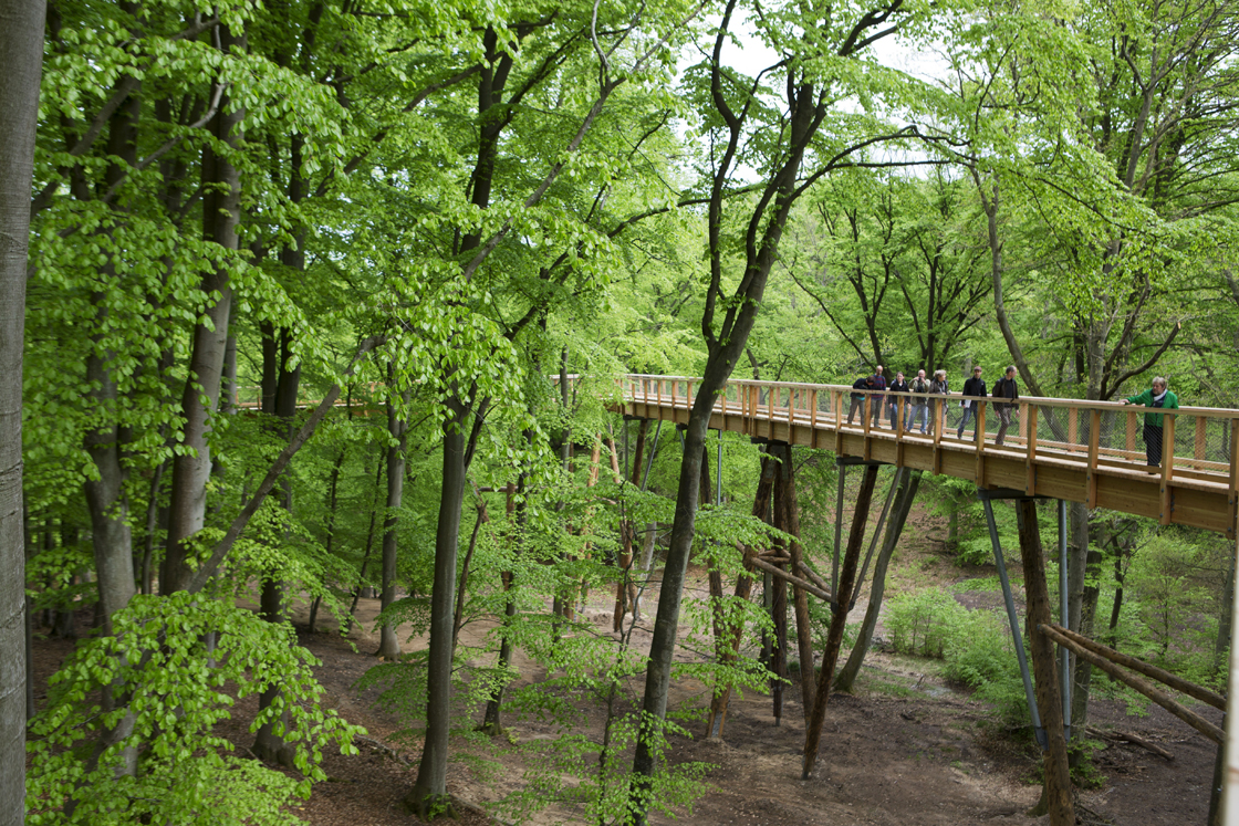 The city of Toronto is planning aerial sprays of several areas throughout the city. 