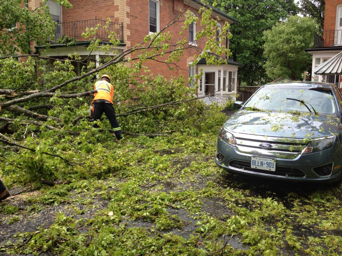 Storm Ontario weather rain trees down