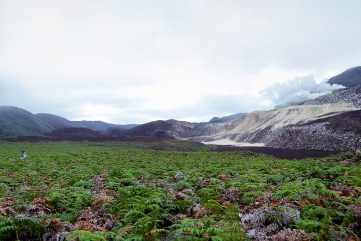 Mountain View, Calif.,-based Google sent hikers to the Galapagoswith Street View gear called “trekkers,” 42-pound computerbackpacks with large, soccer ball-like cameras mounted on a tower.