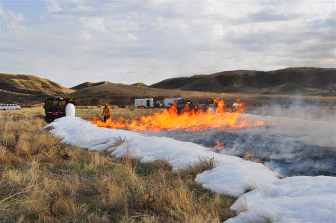 A prescribed burn at Saskatchewan Landing Provincial Park was started to regrow a native ecosystem.