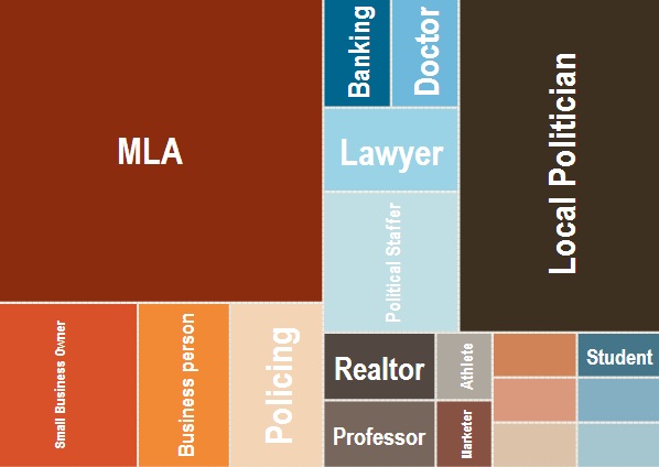 Breaking down B.C.’s 376 candidates - image