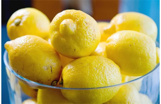  
With cold winters and less than tropical summers most Canadians don't think of planting lemon or olive trees in their backyards.