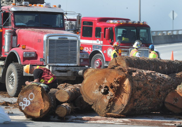 Logging truck dumps load on Golden Ears Bridge - image