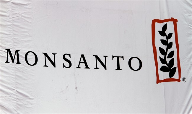 File - This Aug. 31, 2011 file photo shows the Monsanto corporate logo at their exhibit booth during the Farm Progress Show, in Decatur, Ill. 