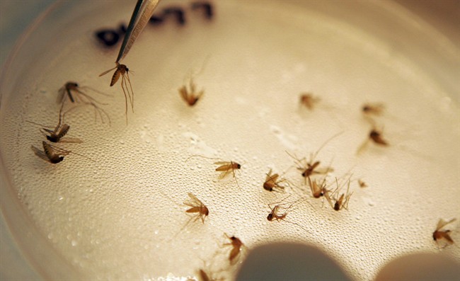 U.S. health officials say last year was the worst ever for West Nile virus deaths.