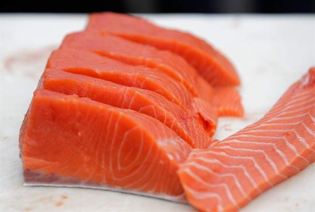 Could genetically modified salmon be coming to a store near you? .