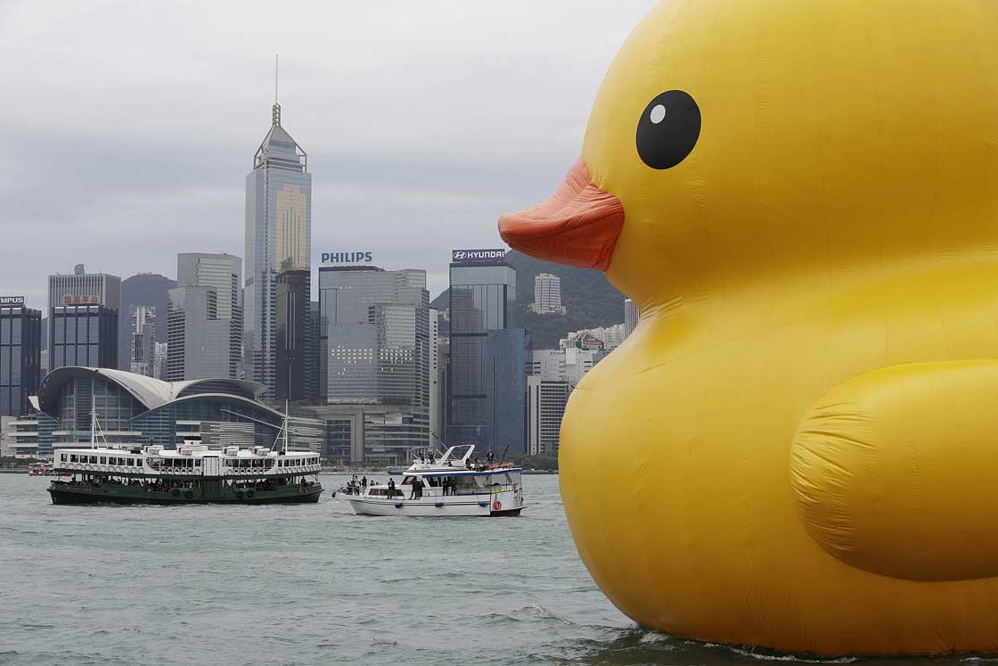 Gallery: Giant rubber duck invades Hong Kong - image