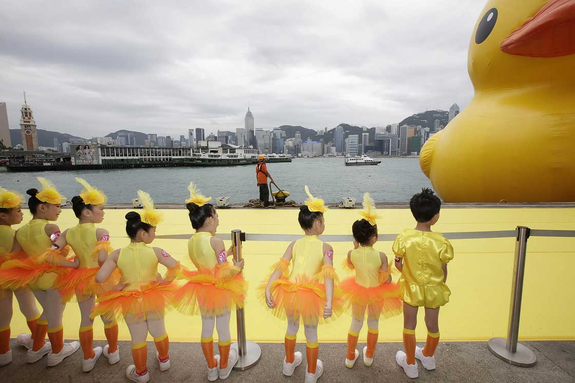 Gallery: Giant rubber duck invades Hong Kong - image