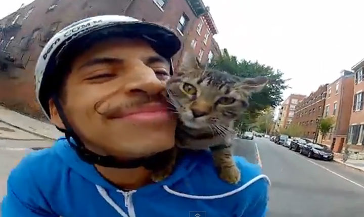 Rudi Saldia - My cat can ride a bike better than you can.