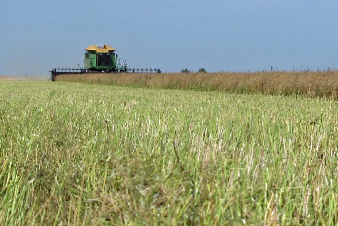 Decision to axe long-form census leaves part of Tory heartland in western and rural Canada without newest data on how population is changing.