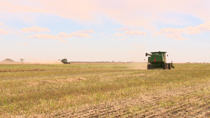 Province’s crops over quarter way seeded - image