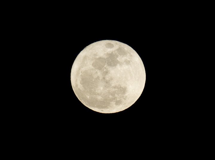 The full moon rises March 19, 2011 in this view from the east side of Manhattan in New York. 