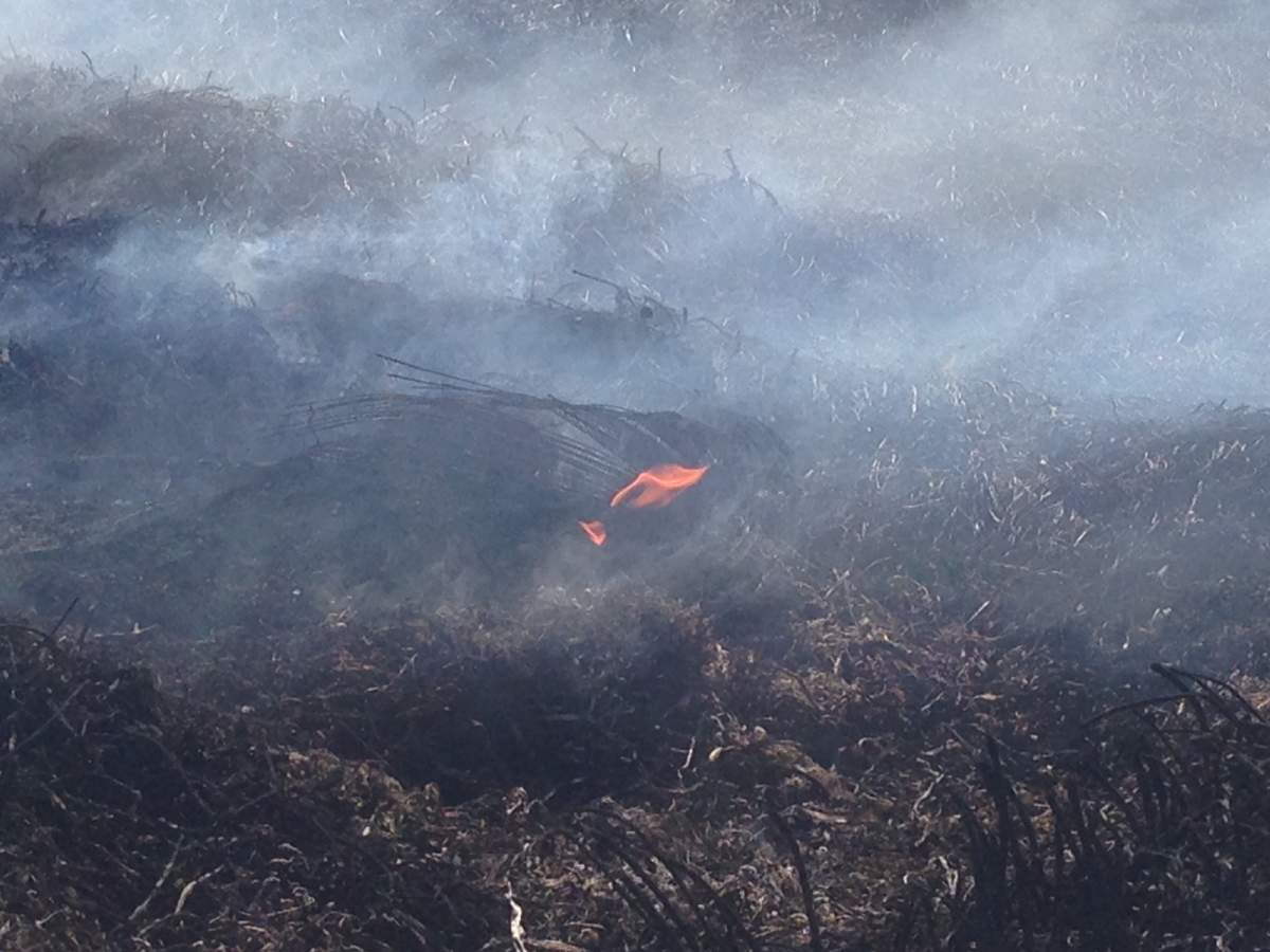 Saskatchewan investigators say people are still deliberately setting fires to profit from extinguishing them.