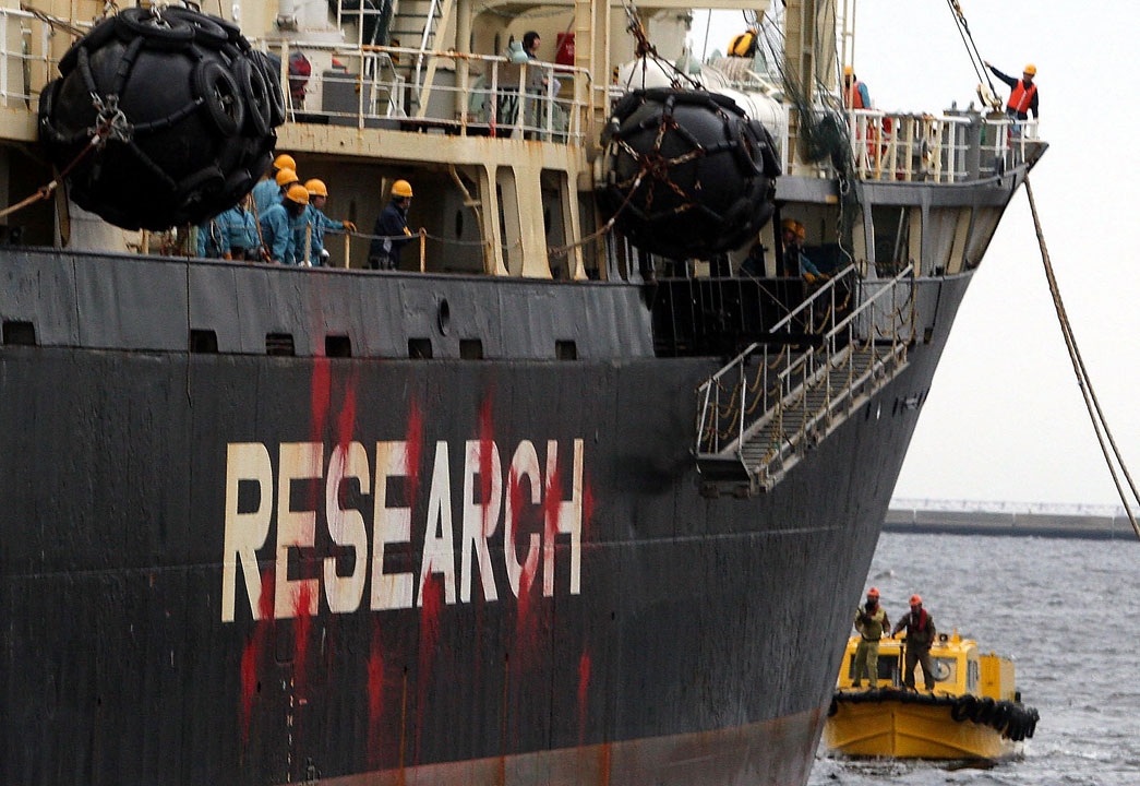 In this photo from 2010, a Japanese research vessel Nissin Maru returns to port after having her hull stained with red paint by the environmental group Sea Shepherd.
