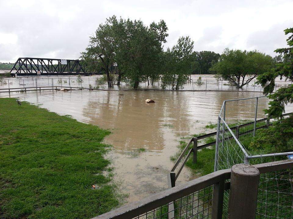 Flooding forced many animals to seek higher ground within their enclosures. (Tyler James Mada/Global News viewer).