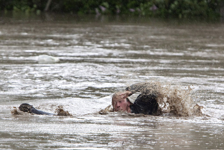 Kevan Yaets swims after his cat Momo to safety as the flood waters sweep him downstream and submerge the cab in High River, Alberta on June 20, 2013 after the Highwood River overflowed its banks.  
