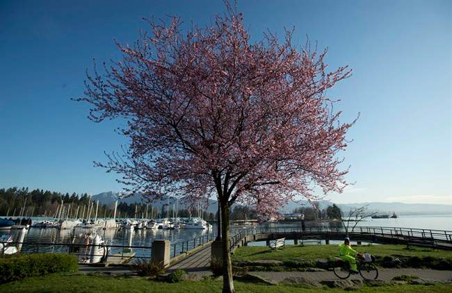 An air quality advisory is in effect for the Vancouver area and According to Metro Vancouver, the region may experience high concentrations of fine particulate matter over the weekend.