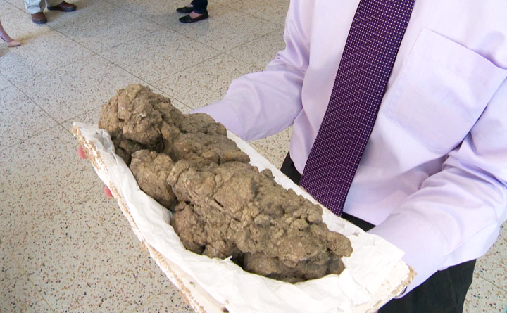 Fossilized feces: Saskatchewan museum sending dinosaur poop to the Smithsonian.