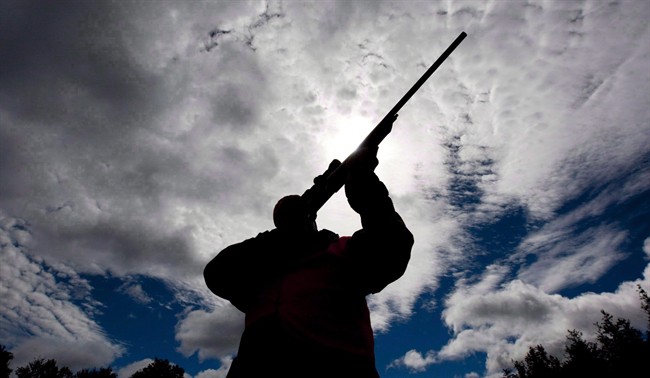 A rifle owner checks the sight of his rifle at a hunting camp west of Ottawa, Sept. 15, 2010.