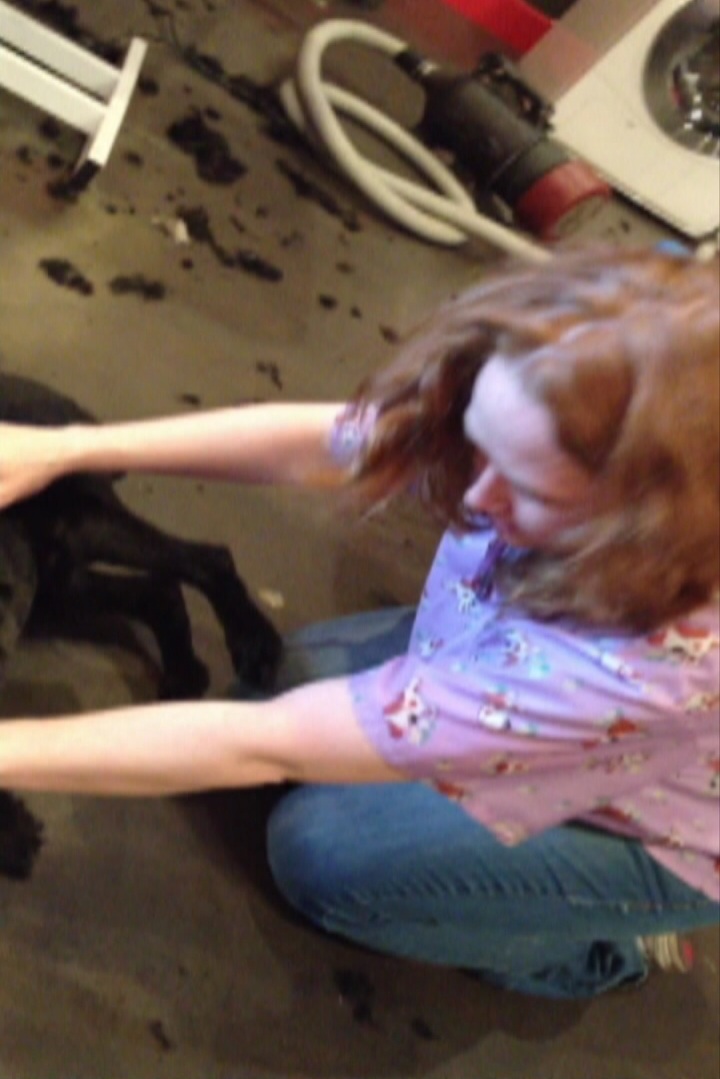 Mariko Dormer was secretly videotaped by a co-worker at Fur Kids Daycare.