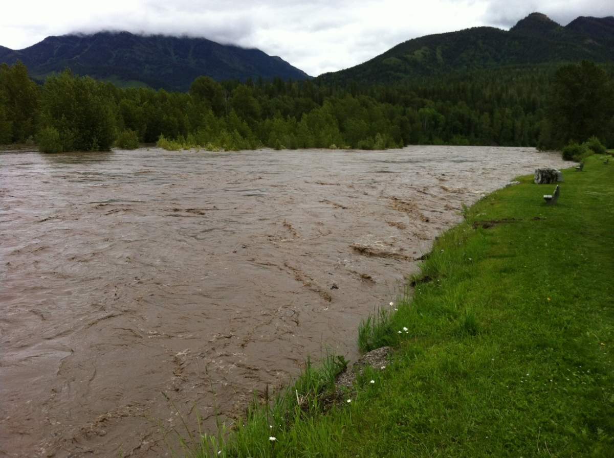 Elk River at Fernie.