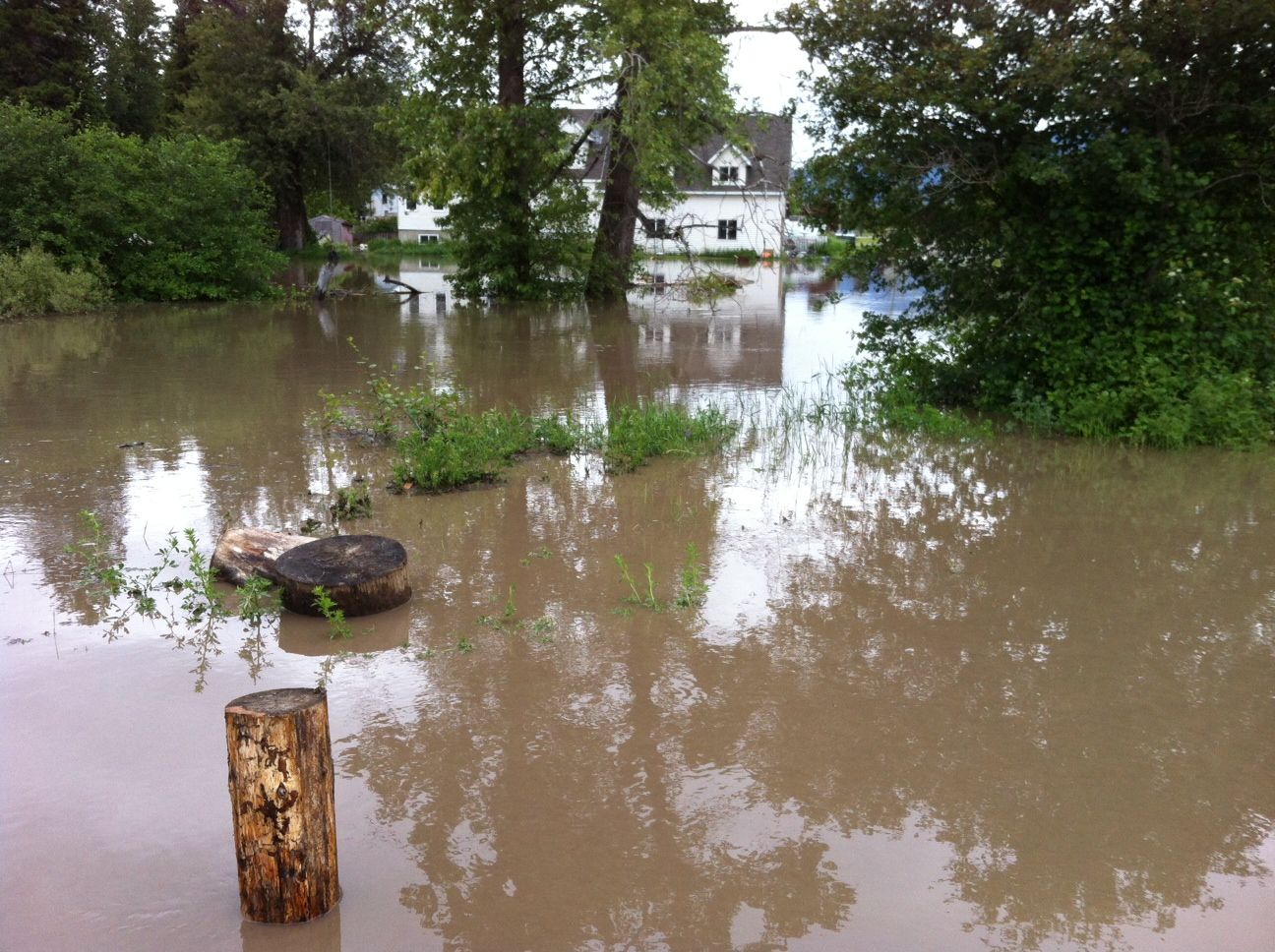 Gallery: Flooding And Road Washouts In B.C. Due To Heavy Rains ...