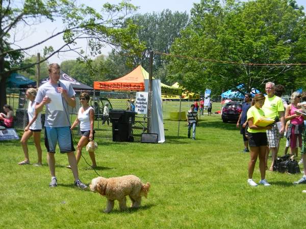 live auction anthony farnell global toronto hope volleyball tournament fundraiser centre island