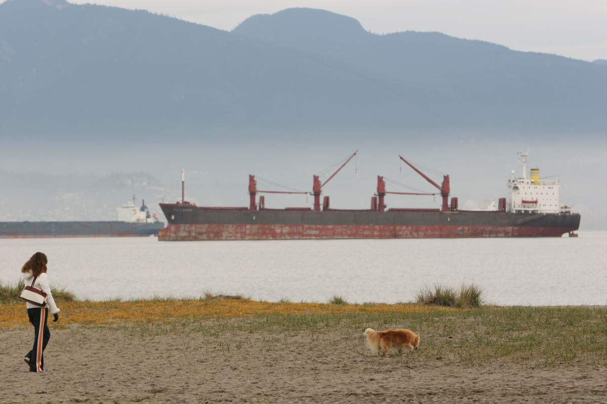 Restoration work around Vancouver’s Jericho beach is finally complete - image