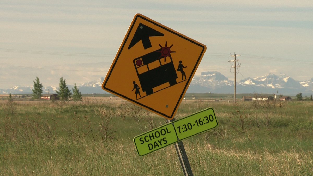 Southern Alberta school bus driver facing charges - image