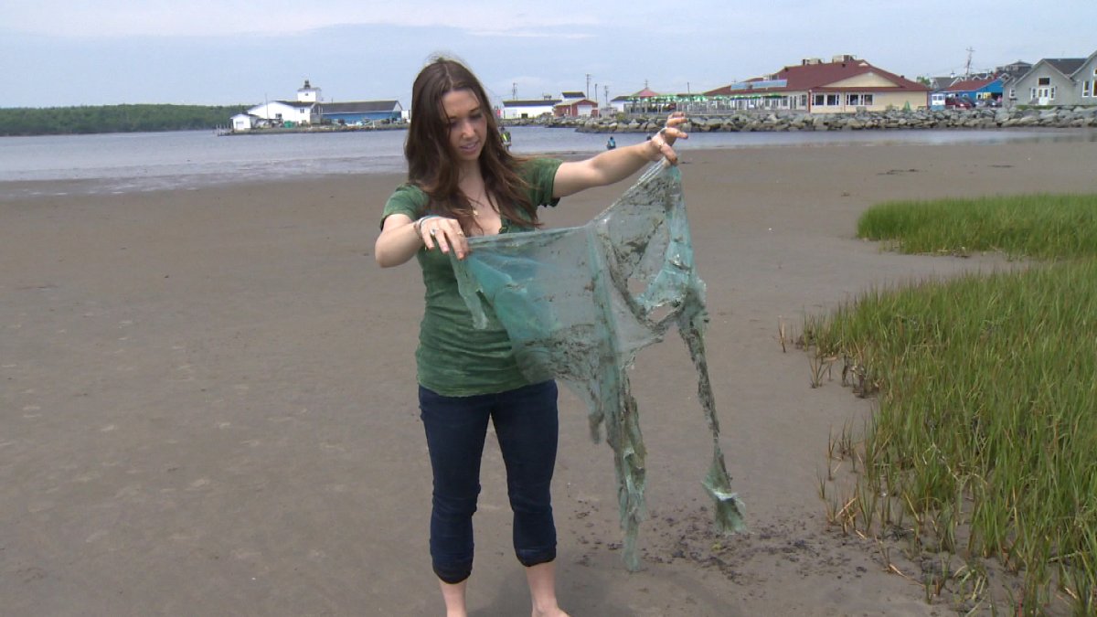 The amount of microplastic in Nova Scotian beaches is accumulating, according to research coming out of Dalhousie University that is believed to be the first of its kind in Canada.