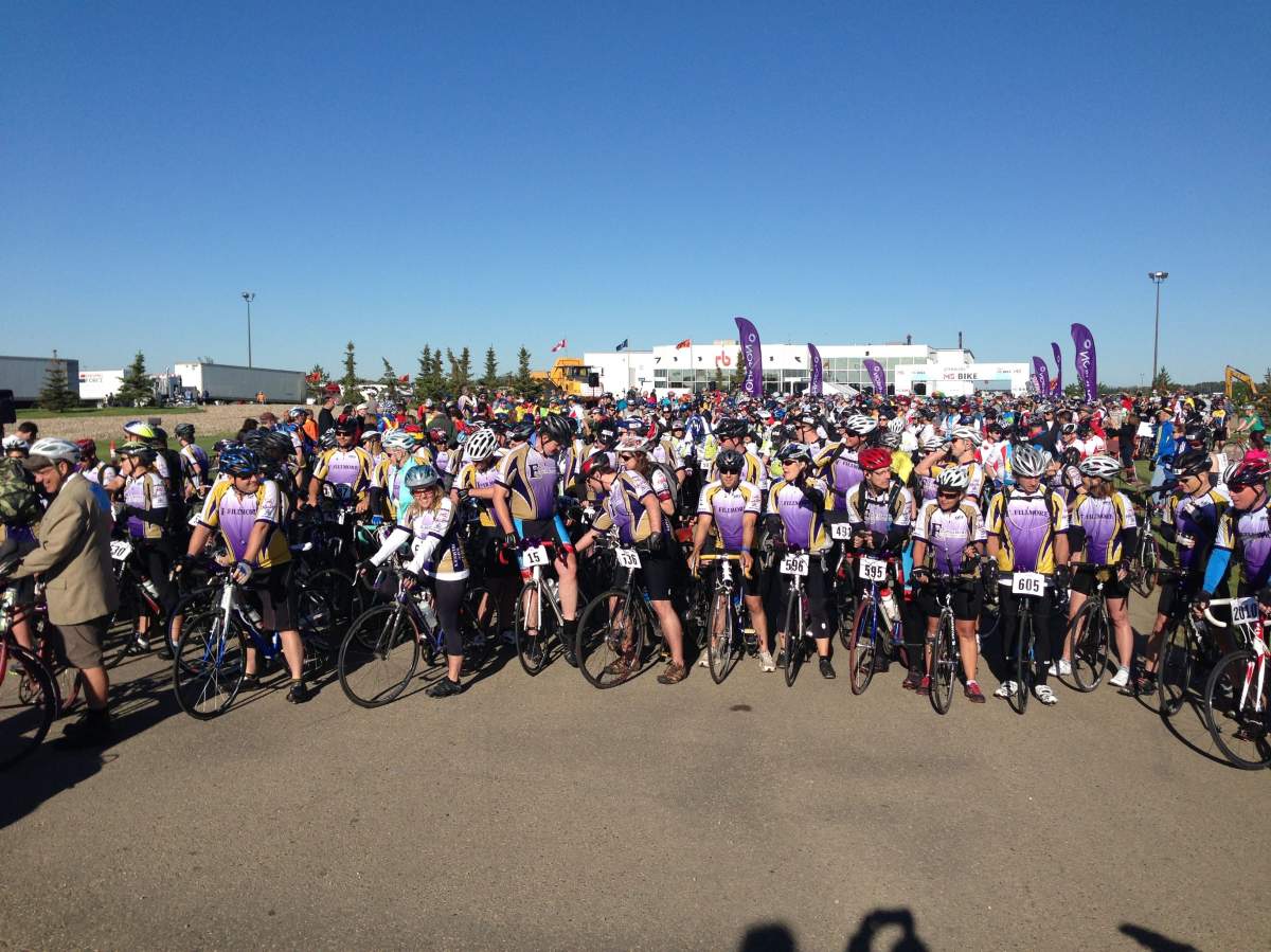 Nearly 1,400 cyclists are travelling from Grand Bend to London and back to raise money for the MS Society of Canada.