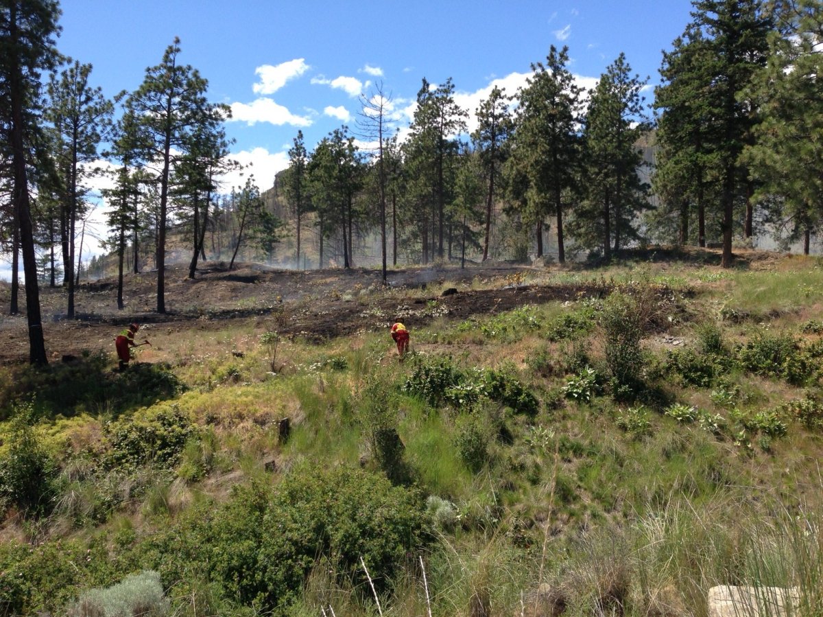 UPDATE: Spark from saw caused West Kelowna brush fire - image