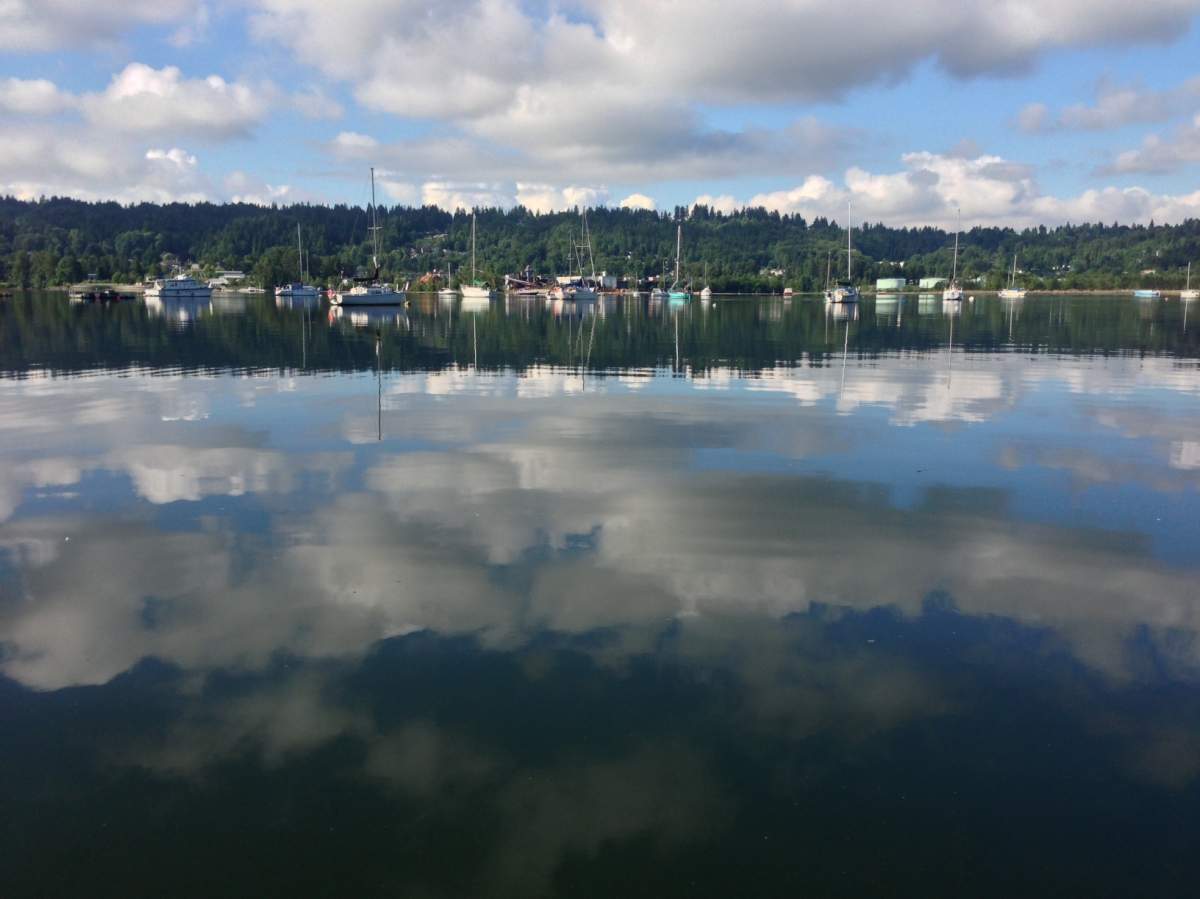 Boats moored near Port Moody.