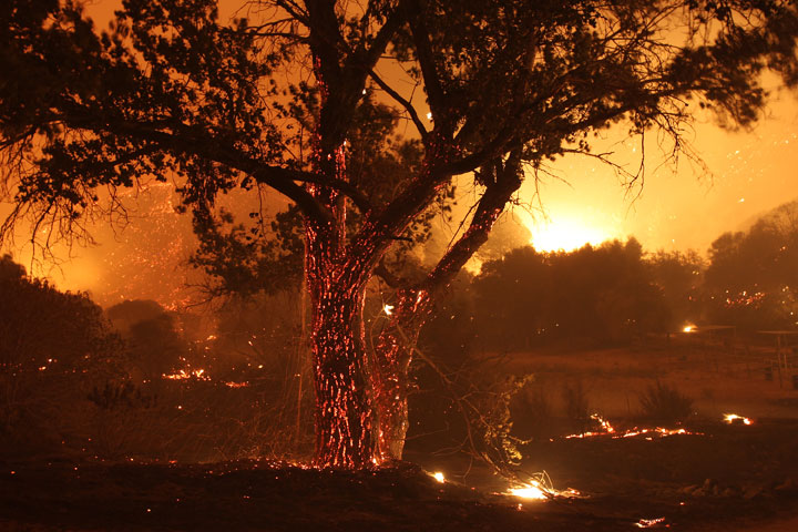 10 incredible photos of the Powerhouse Fire at night - image