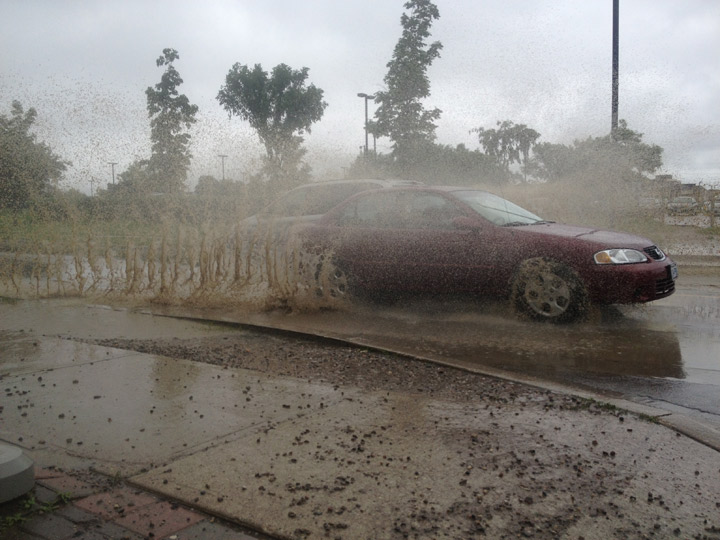 Finch Sentinel flooding