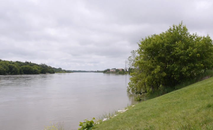 Homes in low-lying areas of Saskatoon are expected to escape flooding, despite high flows on the South Saskatchewan River.