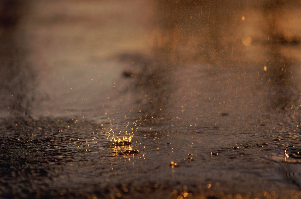 Soggy weekend expected for Metro Vancouver - image