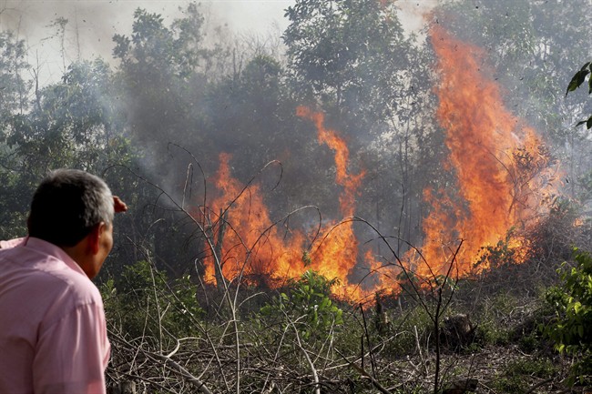 Singapore endures ‘hazardous’ haze from Indonesia forest fires ...