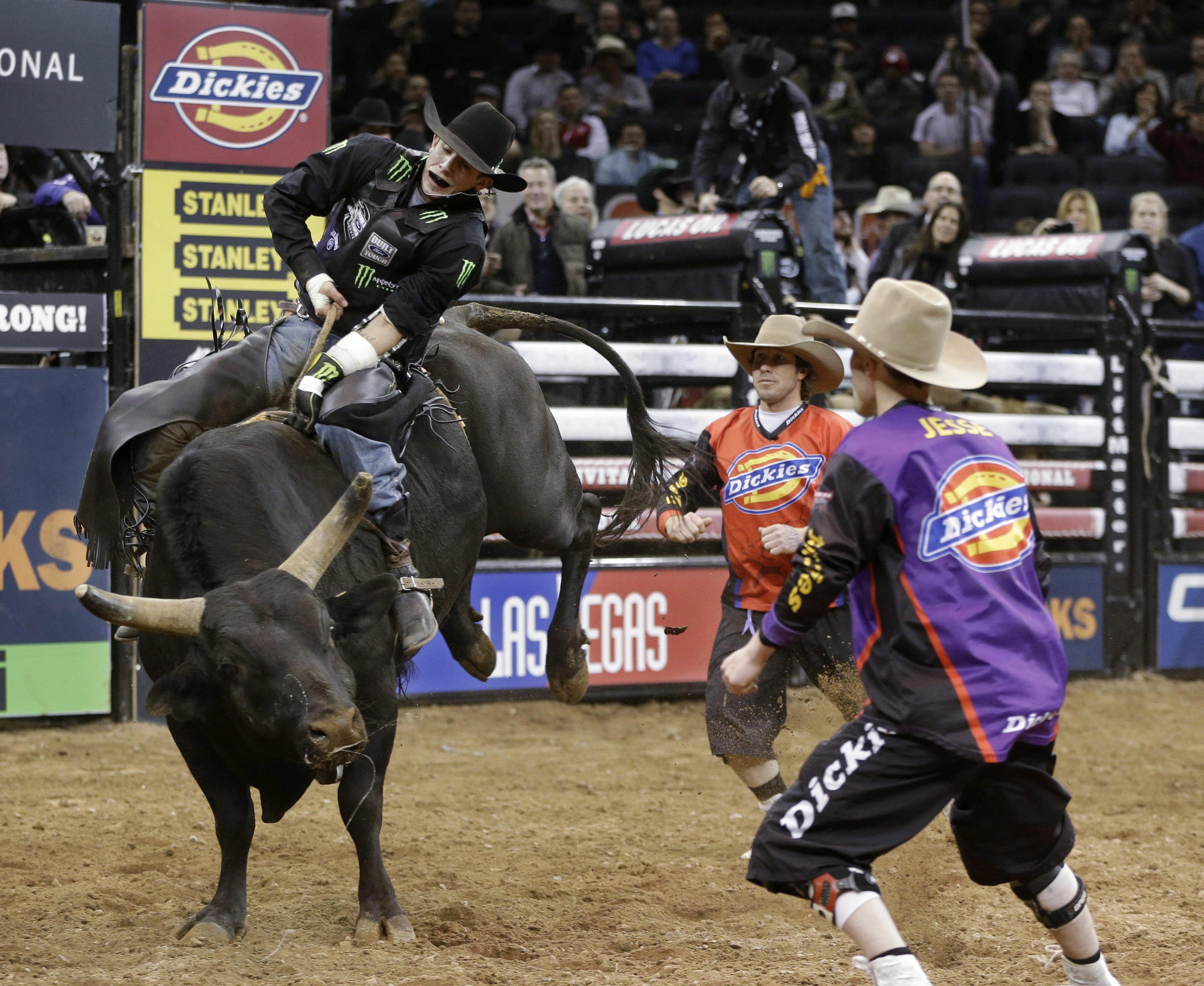 Mauney top bull rider at Calgary Stampede - Calgary | Globalnews.ca