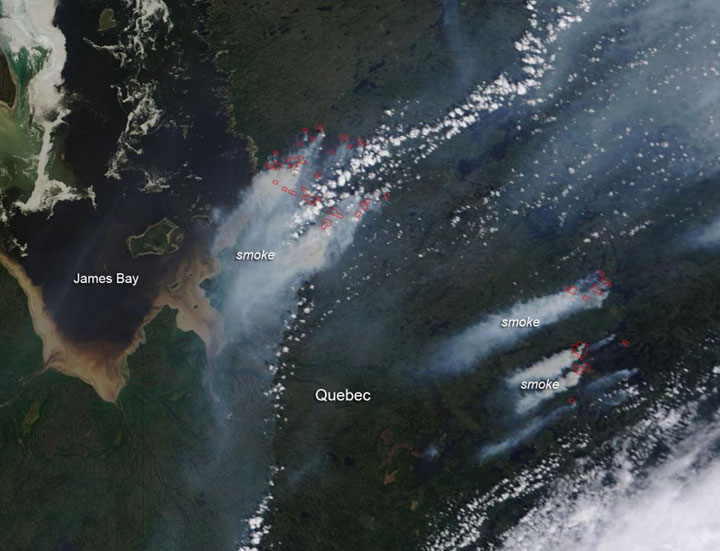 Forest fires have burned more than 300,000 ha of forest and continue to affect Quebec as well as Newfoundland and Labrador.