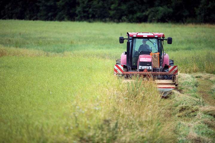 A new report from the Conference Board argues that Canada is only hurting itself by maintaining high protectionist barriers in its agriculture sector.