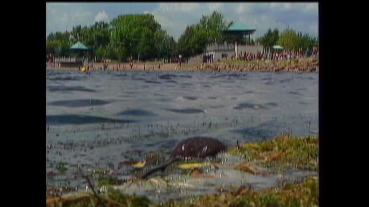 Beach bums at Katepwa Lake and Echo Lake are being told to stay out of the water.
