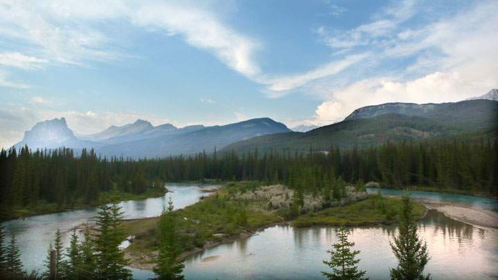  Ancient fossils of an extinct family of insects have been found in British Columbia and northern Washington state, and a biologist says they hold valuable lessons about climate change and evolution.