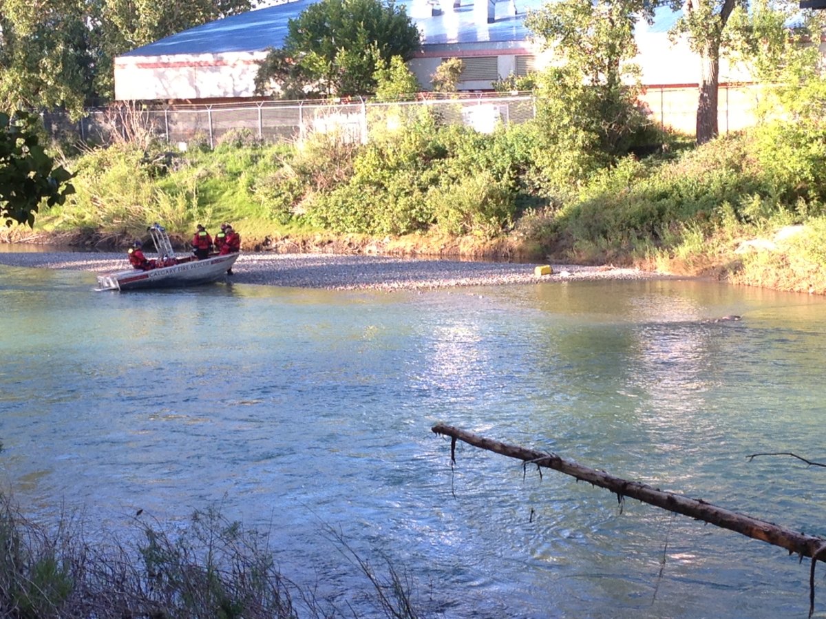 A man’s body was found in the Bow River in the Calgary Zoo Wednesday morning.