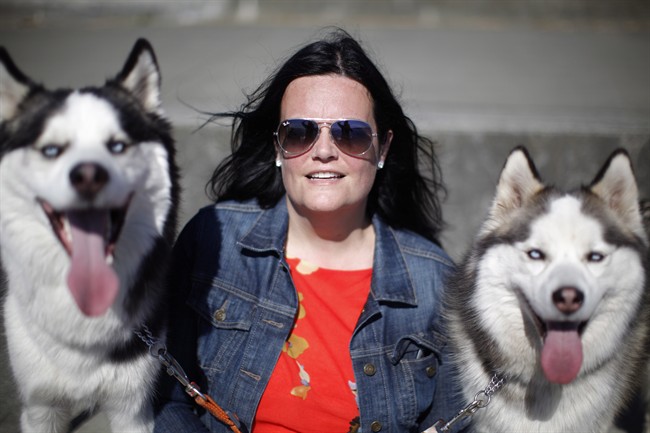 More dog owners want to travel with pooch - image