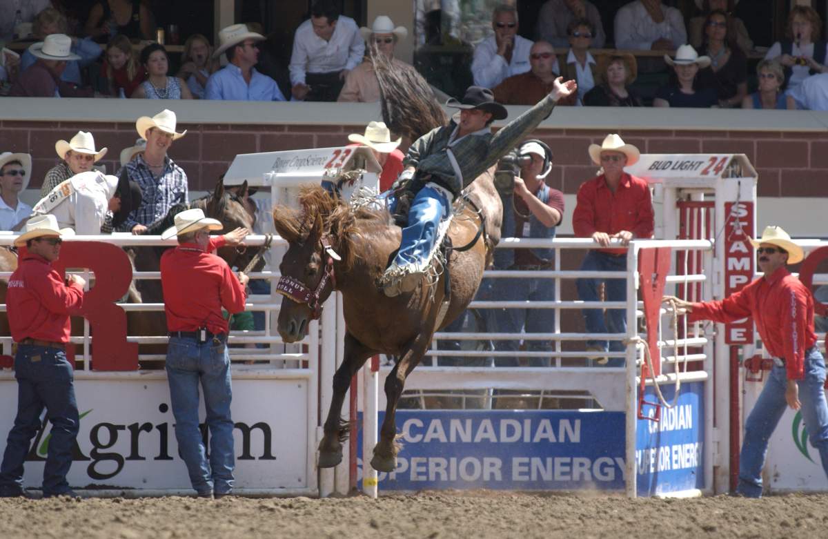 Coconut Roll at the Calgary Stampede rodeo.