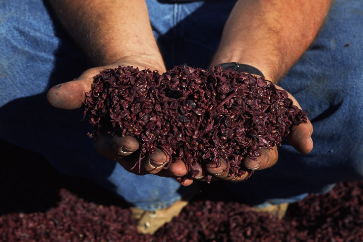 Composting on the rise in Canadian households