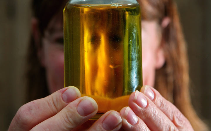 What is the healthiest type of oil to cook with?