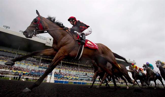 Fort Erie racetrack announces 2014 season days before byelection in area - image